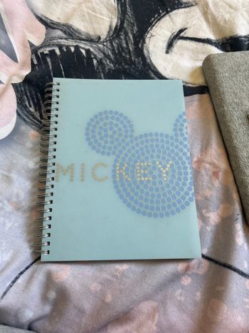 Carnet Mickey