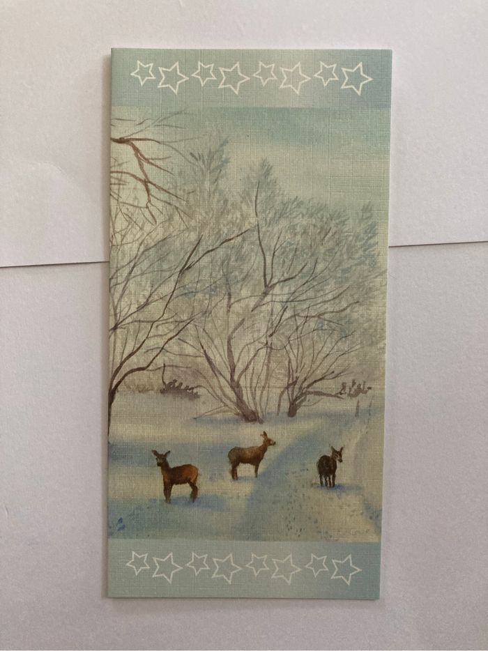 Lot 3 cartes de vœux - photo numéro 5