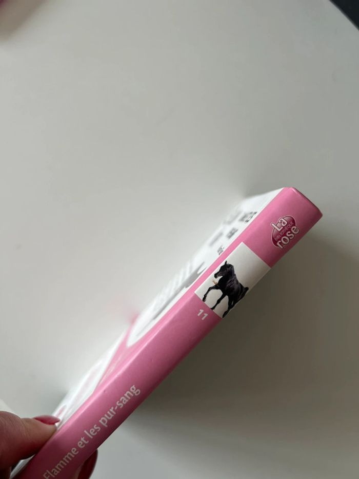 Livre l’étalon noir - photo numéro 2