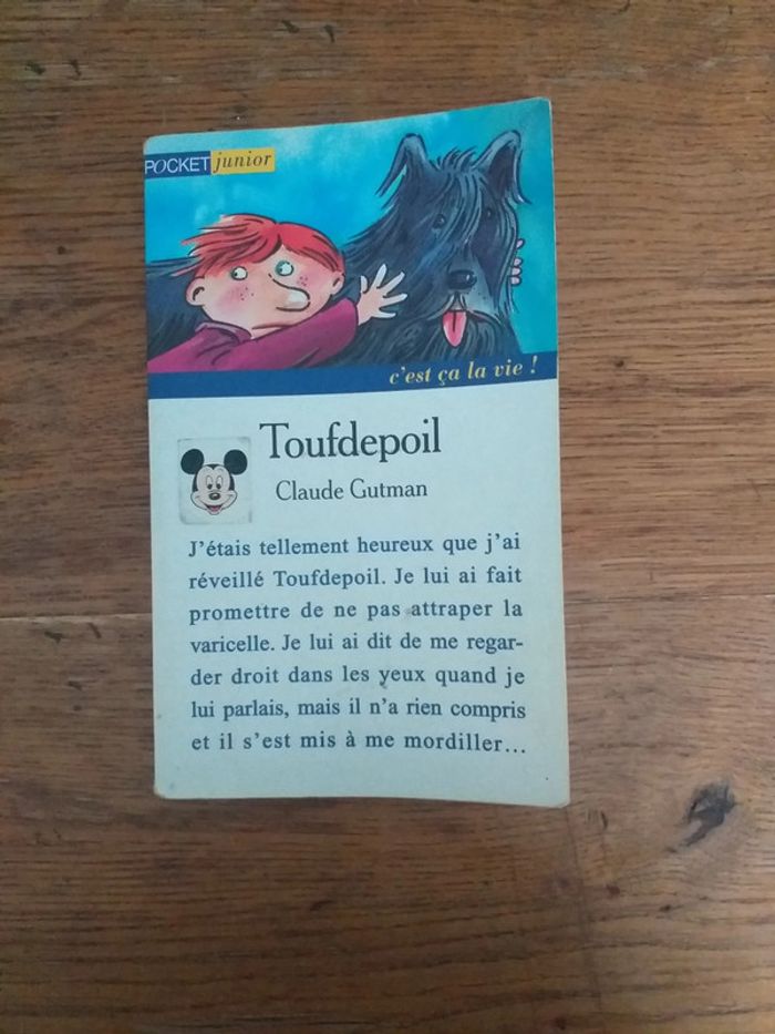 Toufdepoil