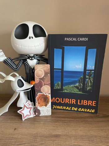 Mourir libre journal de cavale