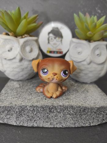 My Littlest Petshop  Pet Shop LPS dog chien carlin 133 #geektradelpschien