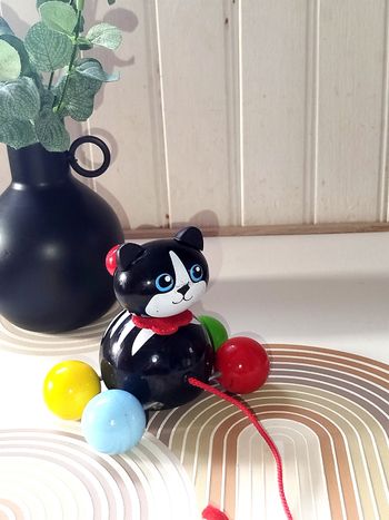 🔴 Vilac Jouet à tirer Minou le Chat