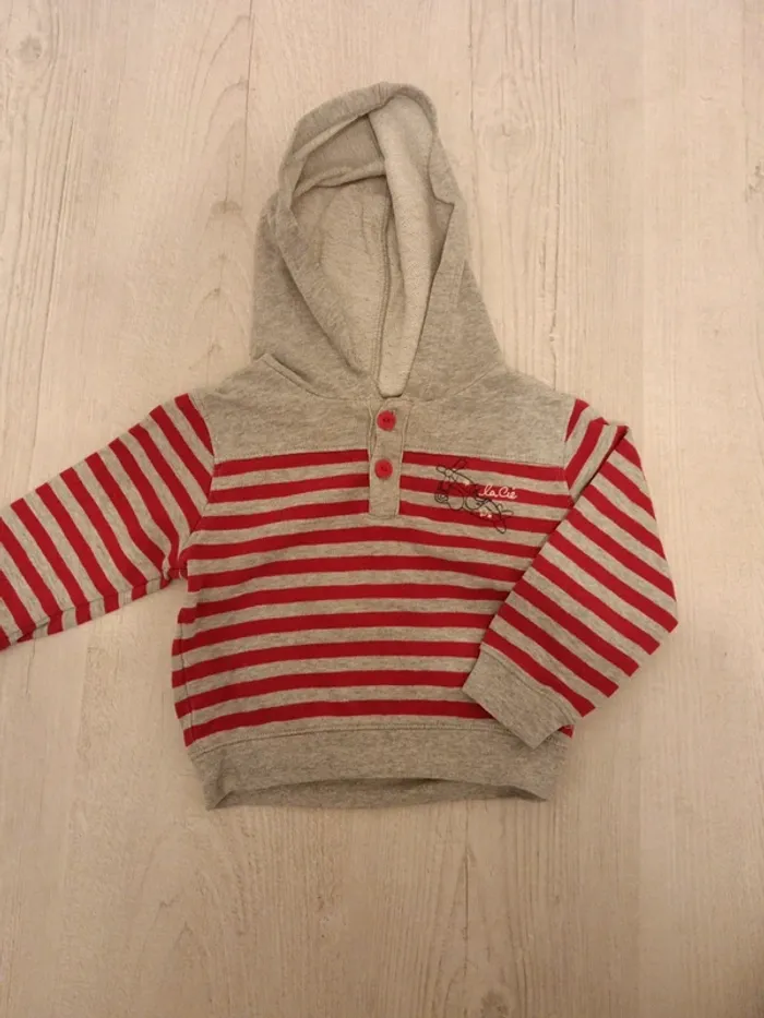 Pull sweat à capuche 24 mois