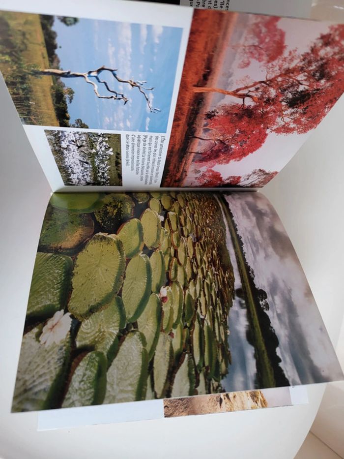 Livre illustré La Terre - photo numéro 3