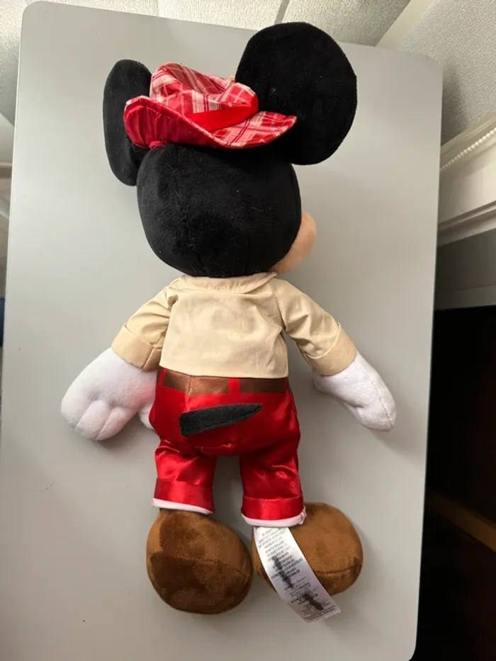 Mickey saint Valentin - photo numéro 2