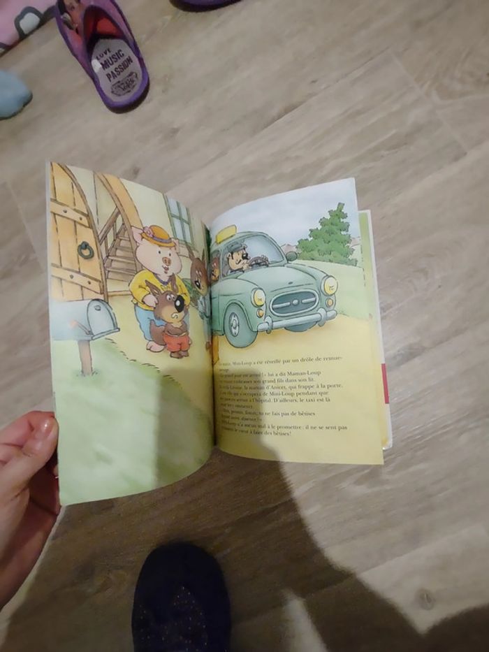 Grand livre Une petite soeur pour Mini-loup 🐺 - photo numéro 2