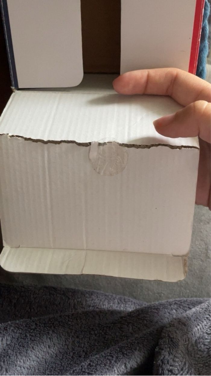 Memory animaux - photo numéro 3