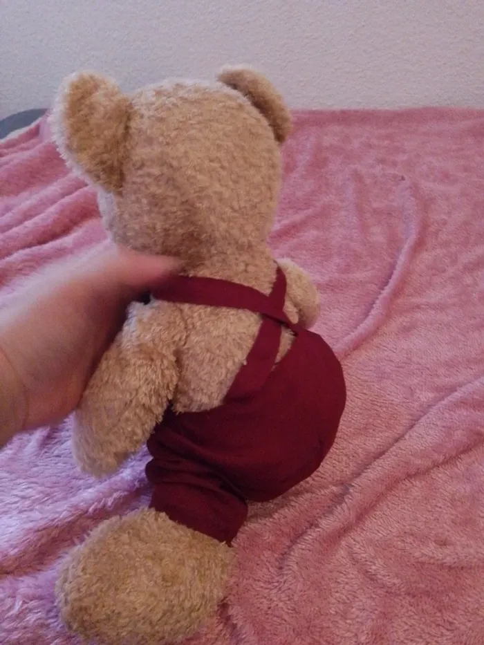 Peluche - photo numéro 3