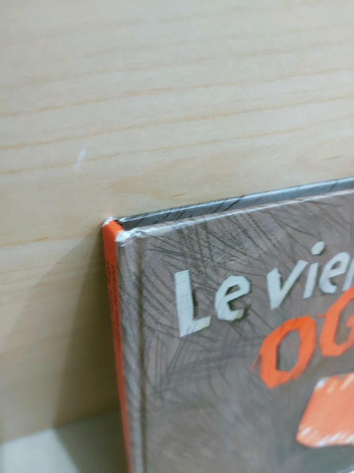 📚 Livre : Le vieil ogre - photo numéro 9