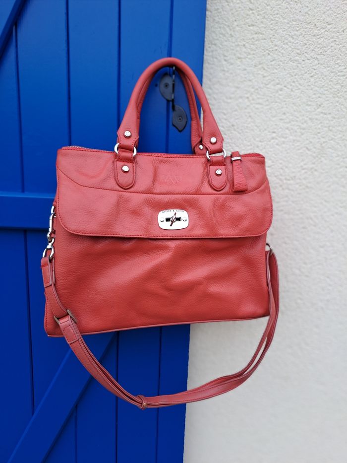 SAC Arthur et Aston - photo numéro 2