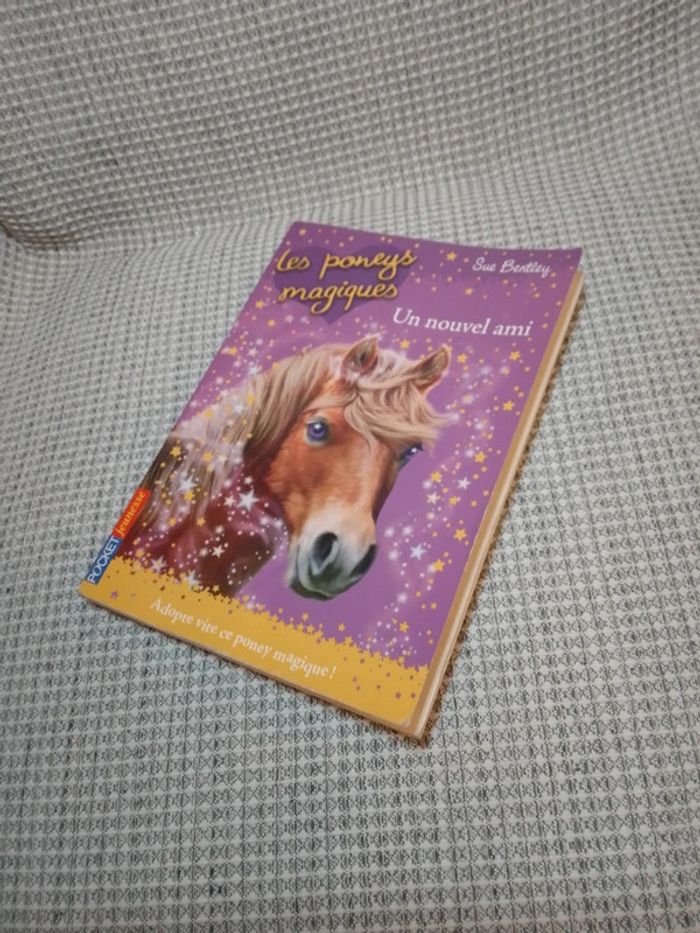 Un Nouvel Ami - Les Poneys Magiques T.1 - photo numéro 8