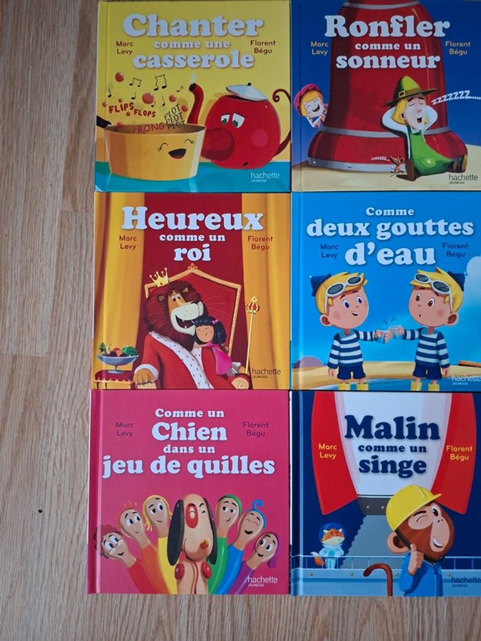 Livre - photo numéro 2