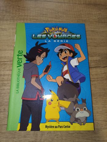 Pokémon les voyages la série Mystère au Par Cerise 11