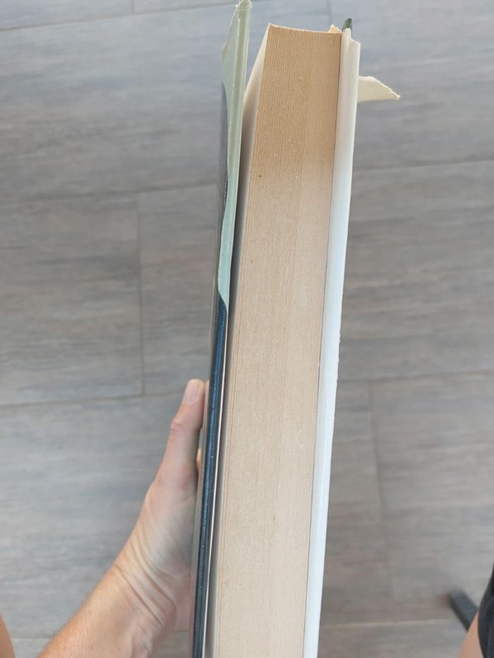 Jamais sans ma fille - photo numéro 3