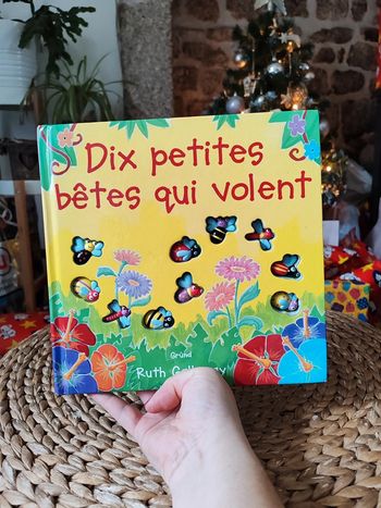 Livre dix petites bêtes qui volent
