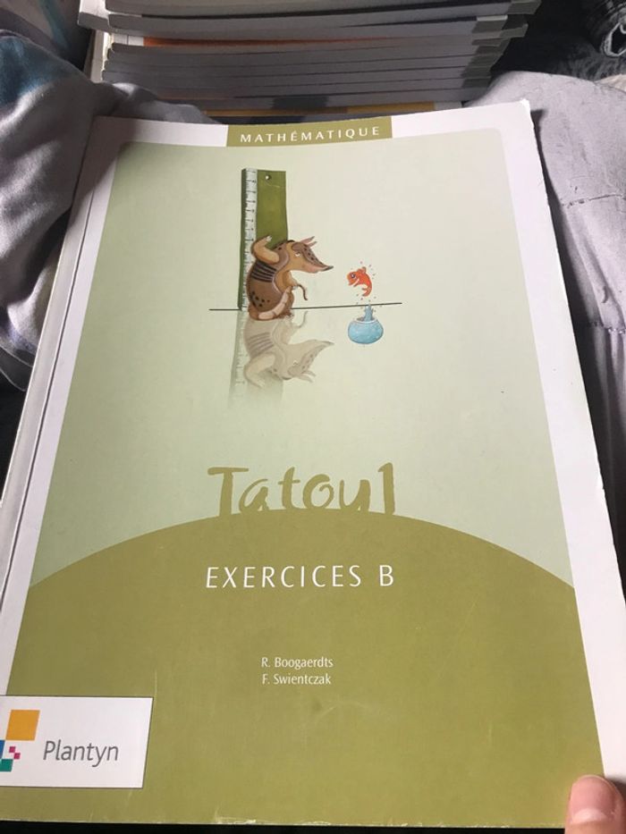 Tatou 1 mathématiques Plantyn - photo numéro 4