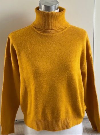 Pull col roulé