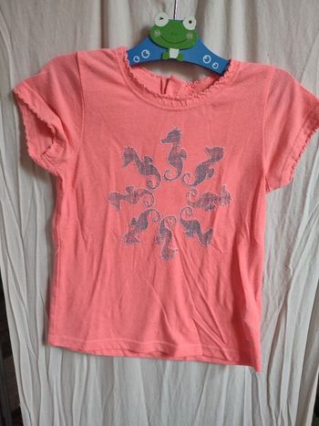 Tee shirt hypocampe
