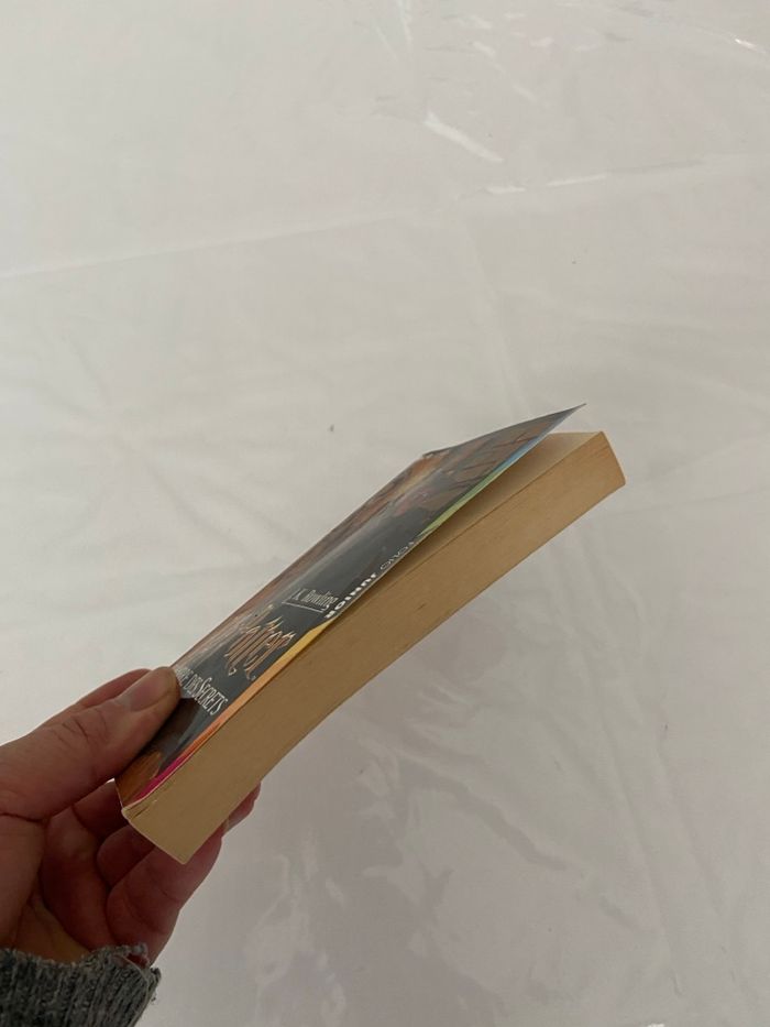 Livre Harry Potter et la chambre des secrets - photo numéro 4