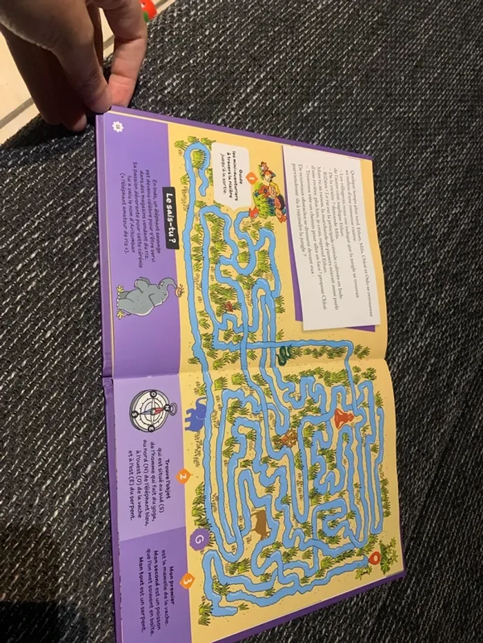 Le tigre du Taj Mahal - Énigmes et jeux - photo numéro 3