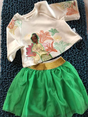 Ensemble la princesse et la grenouille - n e u f