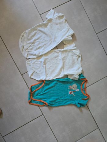 Lot bodies