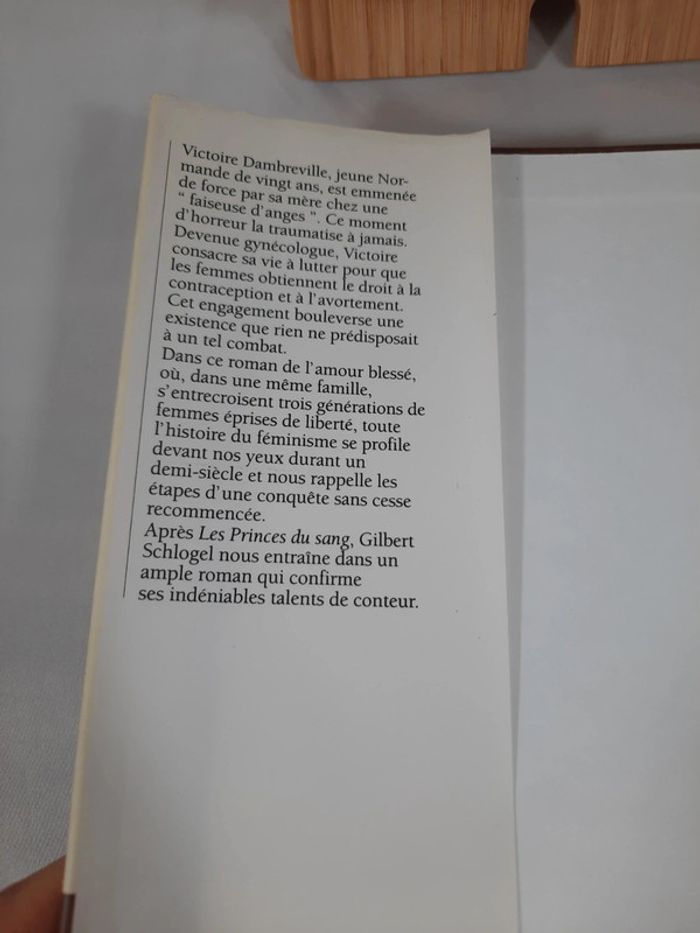 Gilbert Schlogel, Victoire ou la douleur des femmes, C8 - photo numéro 3