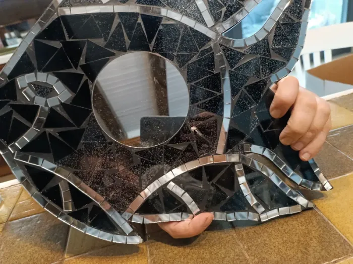 Miroir poisson - photo numéro 2