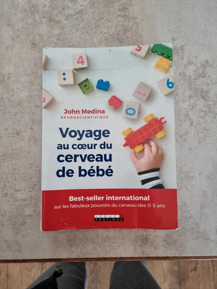 Voyage au cœur du cerveau de bébé