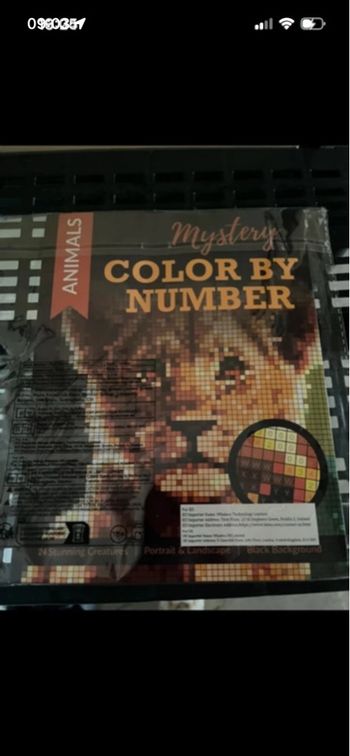 Livre de Coloriage Mystère : Animaux (Pixel Art)