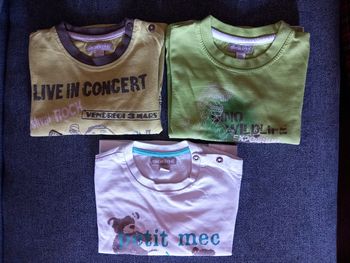 Lot de 3 t-shirts - Orchestra