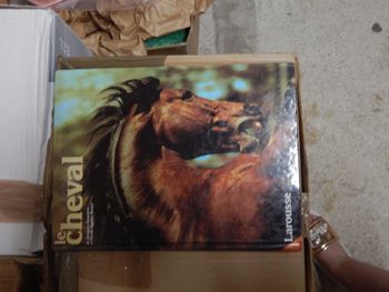 Le cheval