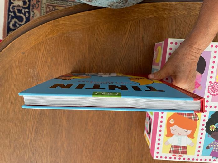 Tintin un monde sans frontières GEO - photo numéro 10