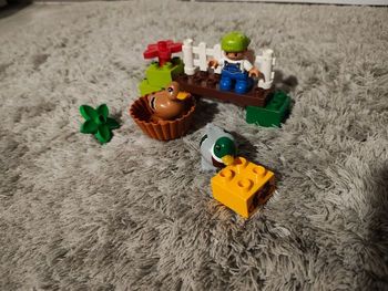 Lego Duplo Ville - 10581 - Les Canards