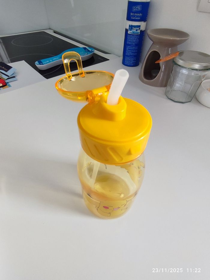 Gourde Pokémon - photo numéro 3