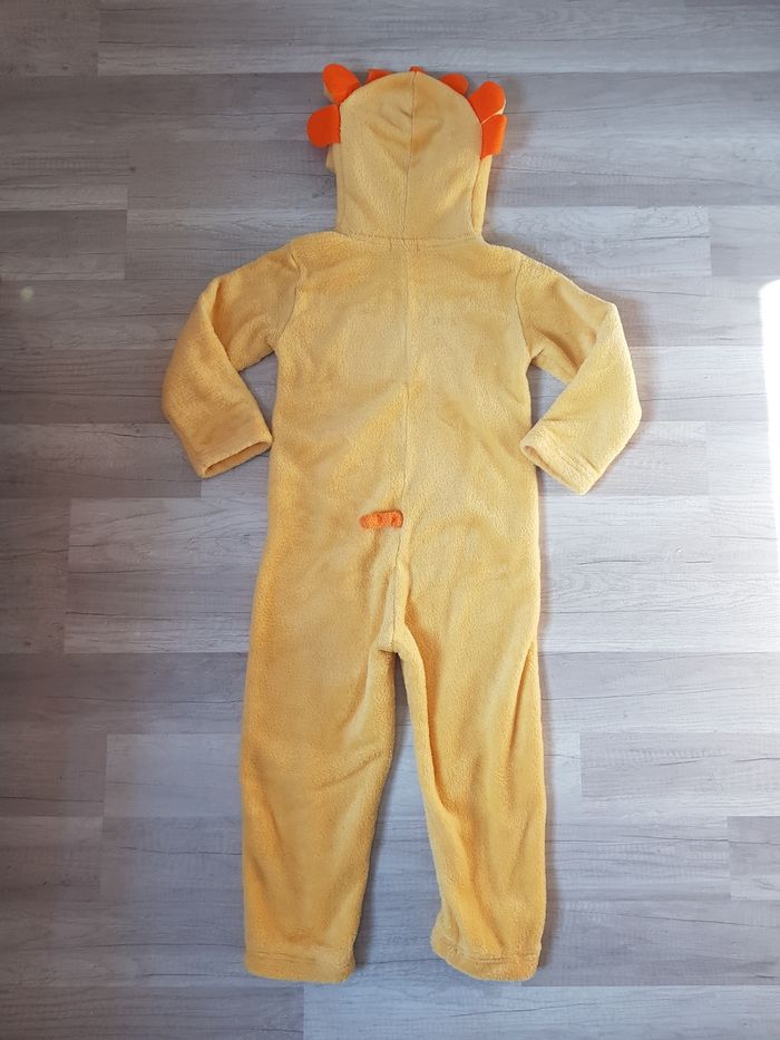 Combi Lion 5 ans - photo numéro 6