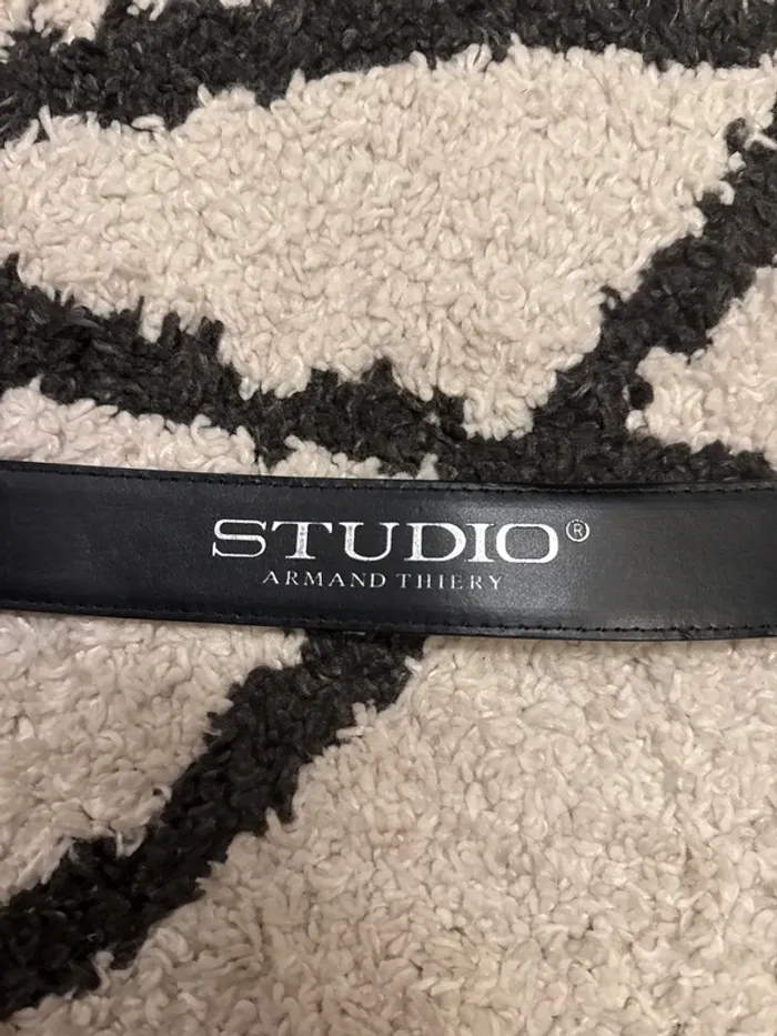 Ceinture - photo numéro 3
