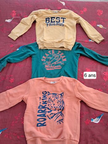 Lot sweater et 1 chemise