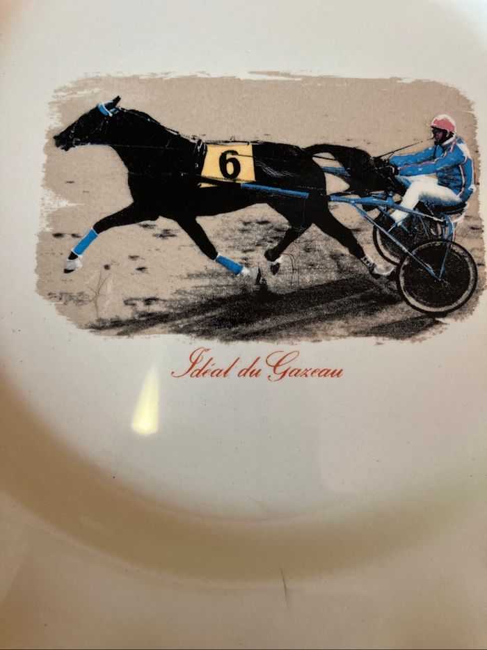 Bel ensemble de 6 assiettes plates-Idéal du Gazeau - photo numéro 2