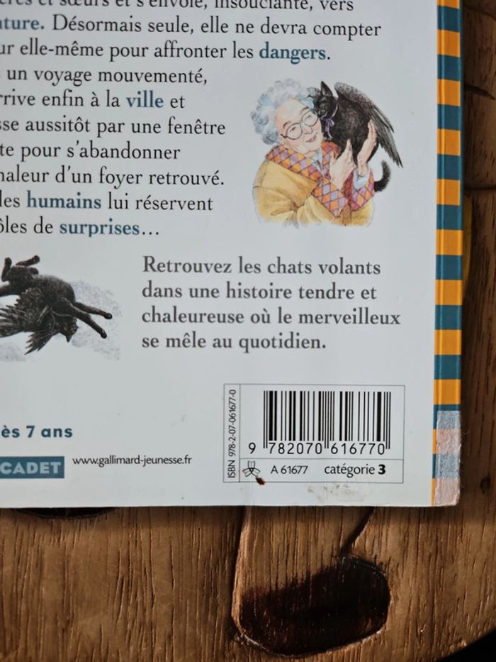Roman  Au revoir les chats volants - photo numéro 5