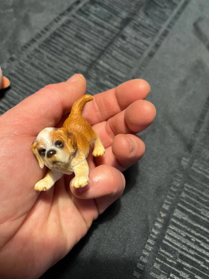 Chiot schleich - photo numéro 4