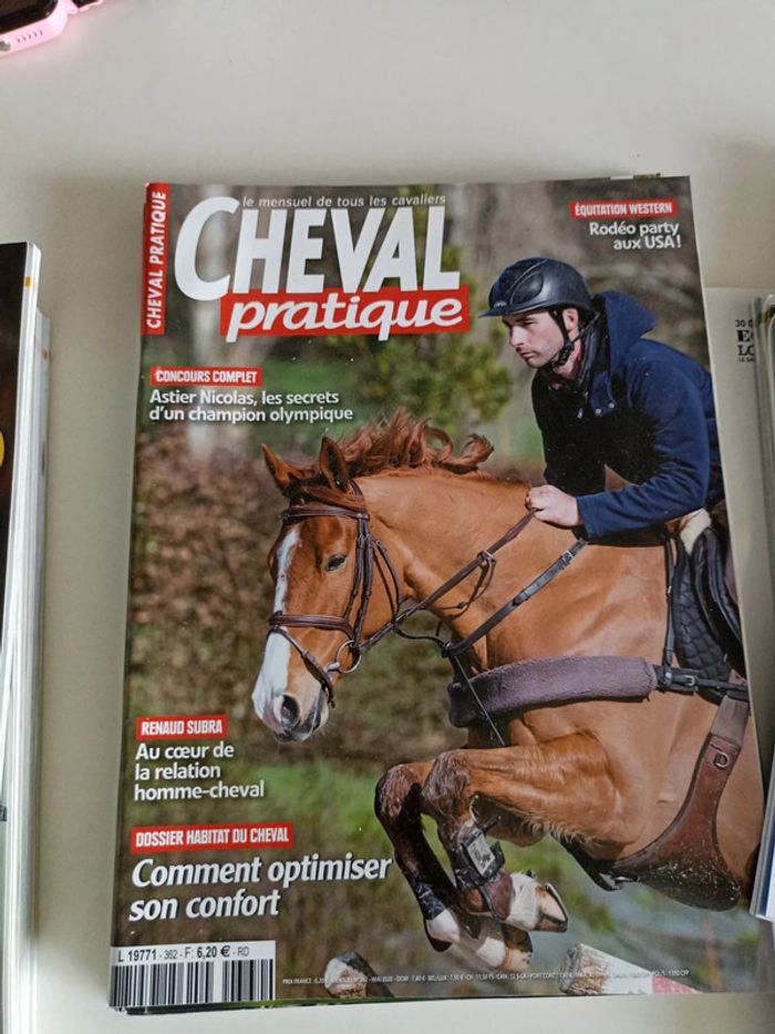 Cheval pratique - photo numéro 7