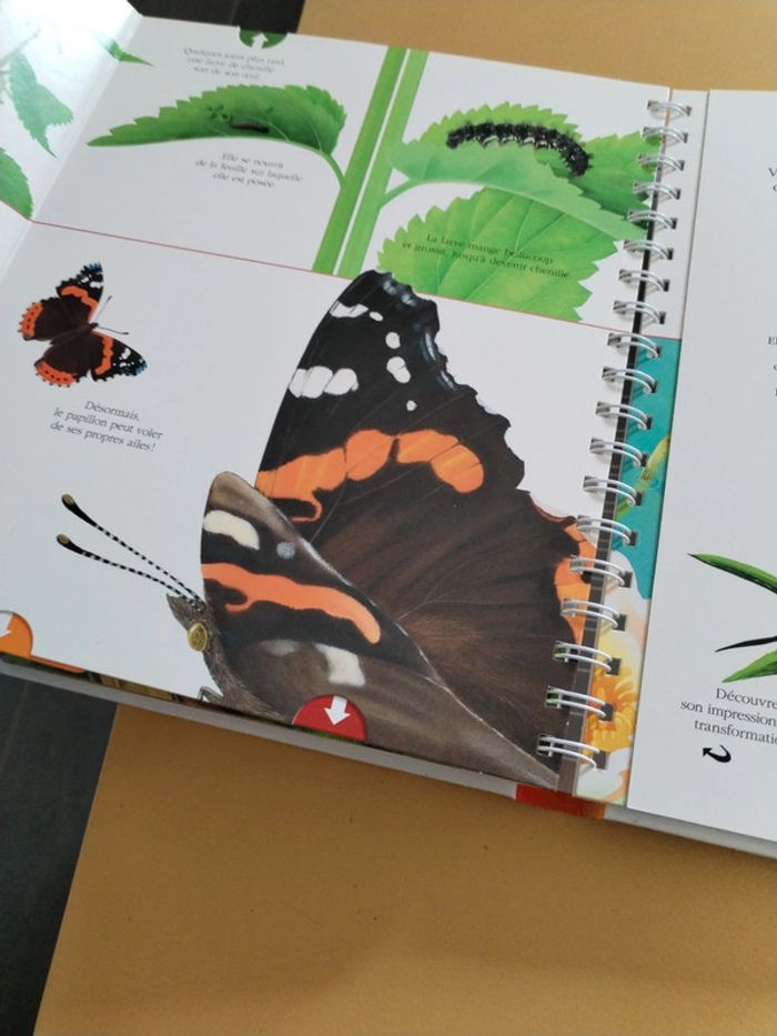 Explore les animaux 78 - photo numéro 13
