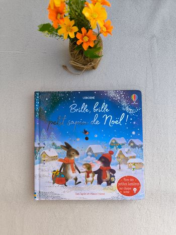 Livre Brille, brille petit sapin de Noël Usborne
