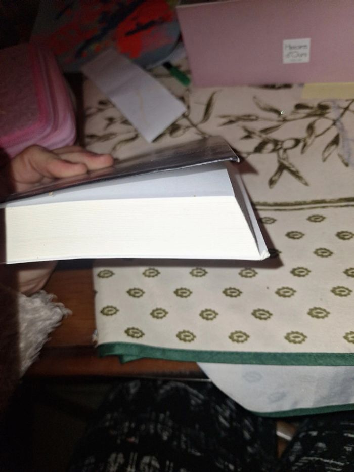 Double identité - photo numéro 4