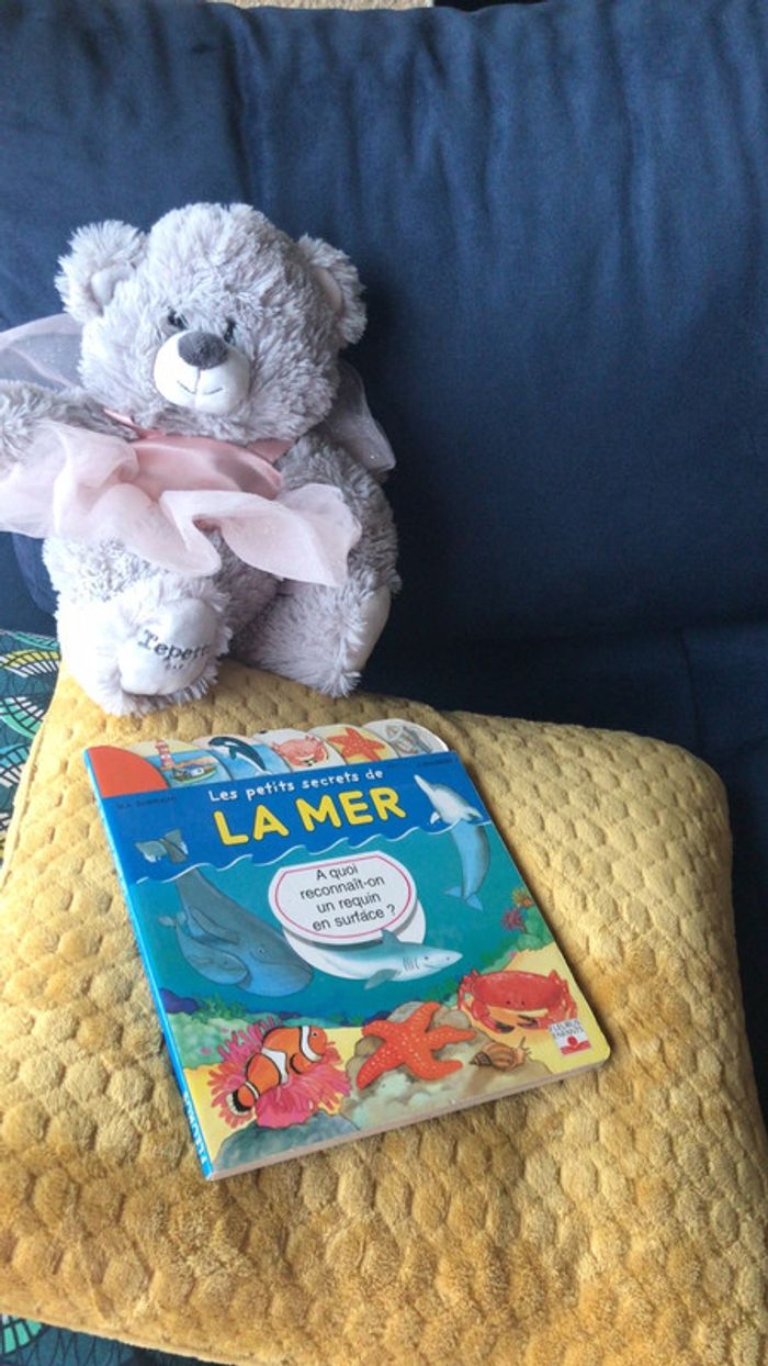 Livre les petits secrets de la mer