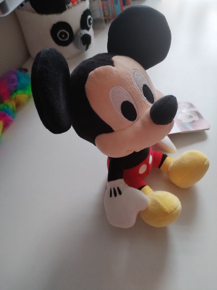 Mickey - photo numéro 3