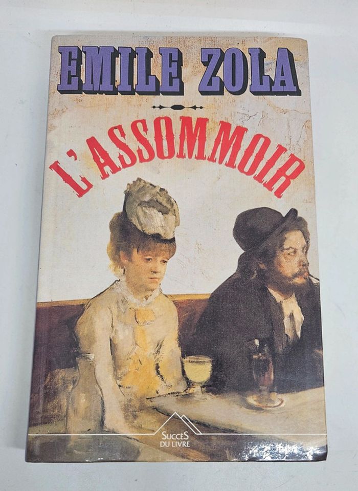 "L'assommoir", de Émile Zola.
418 pages.
Succès du livre.
ISBN : 2.73.820655.7