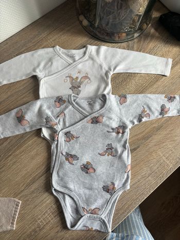Lot bodies dumbo